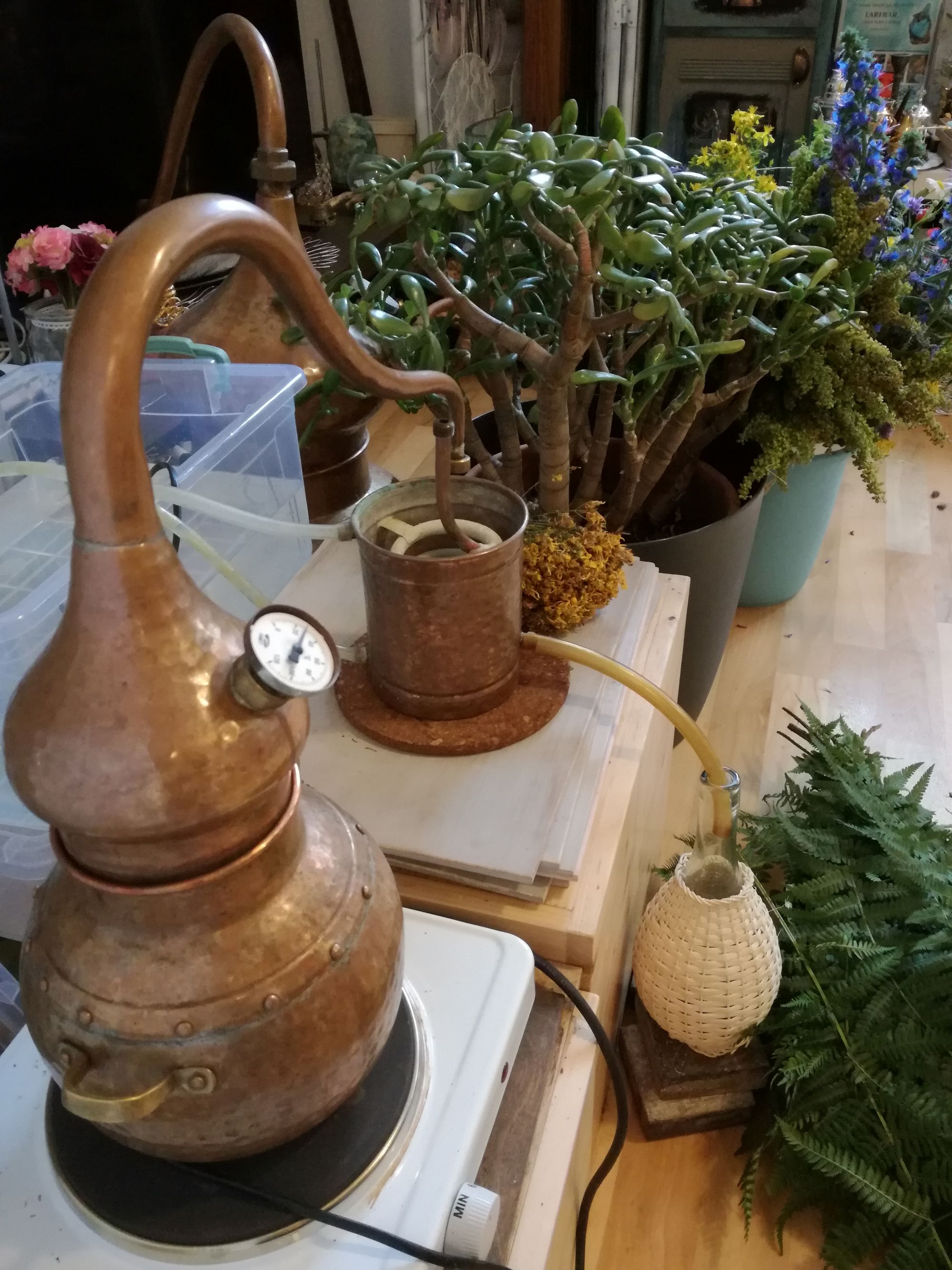 IMG_20230623_164203_2